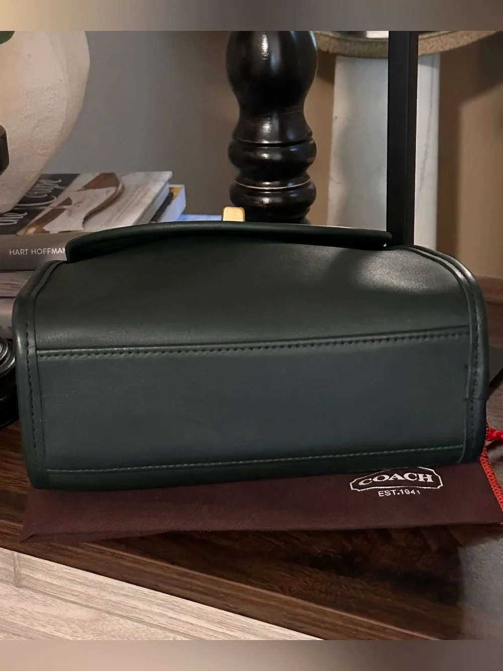 🔥 RARE COACH Bottle Green REGINA Bag | NWT - Picture 9 of 17